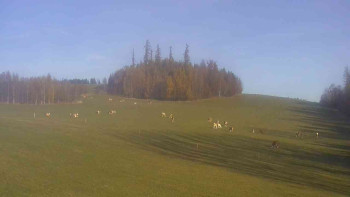 Snímek    31.10.2025 v 09:00