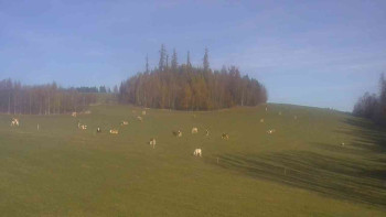 Snímek    31.10.2025 v 10:00