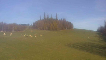 Snímek    31.10.2025 v 10:30