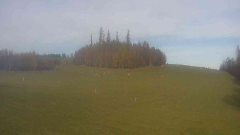 Snímek    31.10.2025 v 13:30