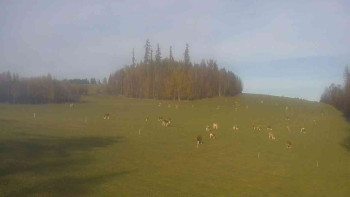 Snímek    31.10.2025 v 14:00