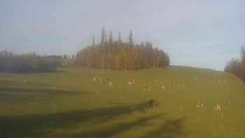 Snímek    31.10.2025 v 14:30