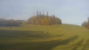 Snímek    31.10.2025 v 15:00