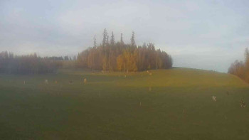 Snímek    31.10.2025 v 16:00