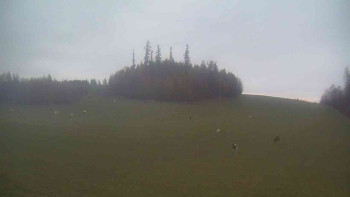 Snímek    1.11.2025 v 06:30