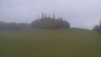 Snímek    1.11.2025 v 08:30