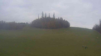 Snímek    1.11.2025 v 16:00