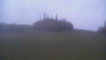 Snímek    3.11.2025 v 06:30