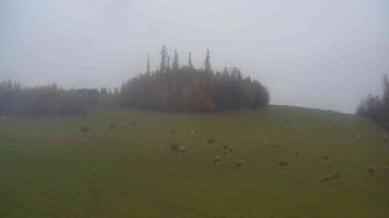 Snímek    3.11.2025 v 07:00