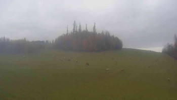 Snímek    3.11.2025 v 07:30