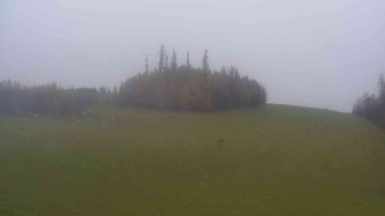 Snímek    3.11.2025 v 09:00