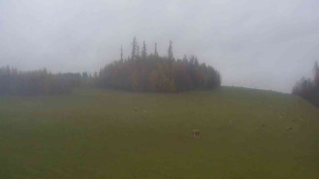 Snímek    3.11.2025 v 11:00