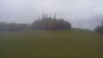 Snímek    3.11.2025 v 12:30