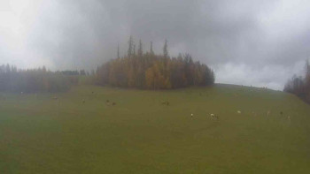 Snímek    3.11.2025 v 14:30