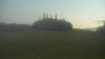 Snímek    4.11.2025 v 06:30