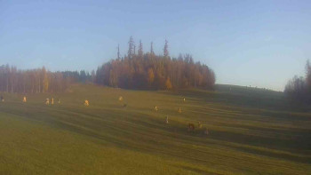 Snímek    4.11.2025 v 07:30