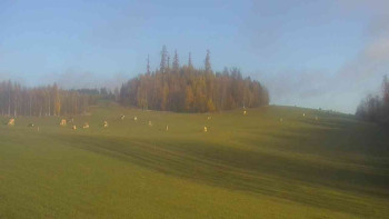 Snímek    4.11.2025 v 08:30