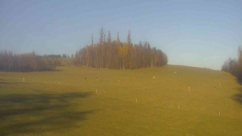 Snímek 7.11.2025 v 14:00