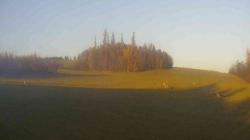 Snímek 7.11.2025 v 15:30