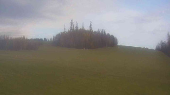 Snímek 8.11.2025 v 11:00