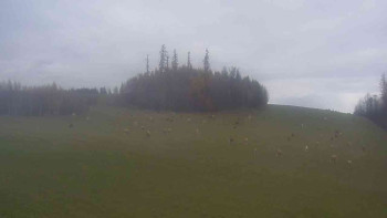 Snímek    8.11.2025 v 14:00