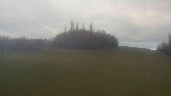 Snímek 8.11.2025 v 14:30