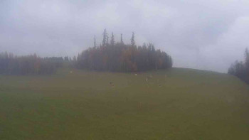 Snímek    9.11.2025 v 09:30