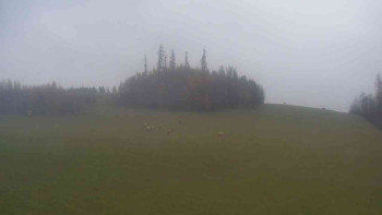 Snímek 9.11.2025 v 12:30