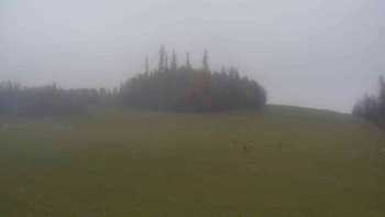 Snímek 9.11.2025 v 14:30