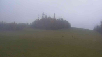 Snímek 9.11.2025 v 15:30