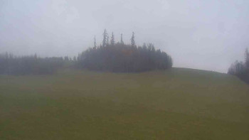 Snímek 16.11.2025 v 15:00