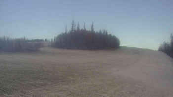 Snímek 18.11.2025 v 11:30