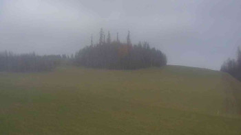 Snímek    20.11.2025 v 14:30