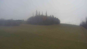 Snímek 21.11.2025 v 14:00