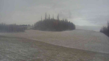 Snímek    23.11.2025 v 11:00