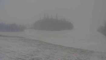 Snímek    24.11.2025 v 08:30