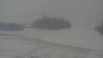 Snímek    24.11.2025 v 09:00