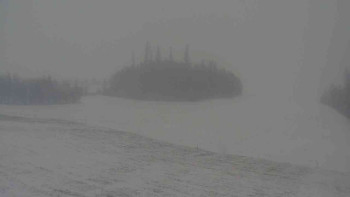 Snímek    24.11.2025 v 09:30