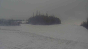 Snímek    24.11.2025 v 11:00