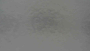 Klub biatlonu Břidličná