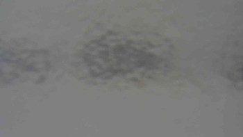 Klub biatlonu Břidličná