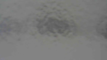 Klub biatlonu Břidličná