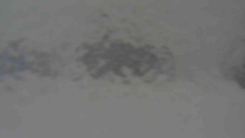 Klub biatlonu Břidličná