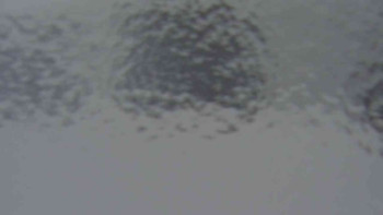 Klub biatlonu Břidličná