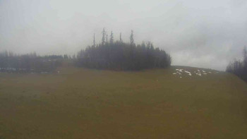 Klub biatlonu Břidličná