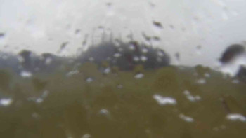 Klub biatlonu Břidličná