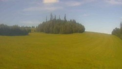 Widok 2