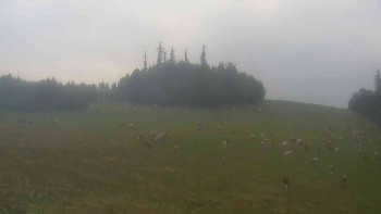 Klub biatlonu Břidličná