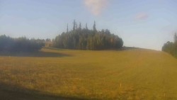 Widok 2