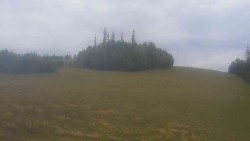 Widok 2